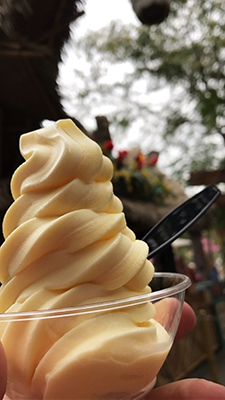 disneyland tiki room dole whip