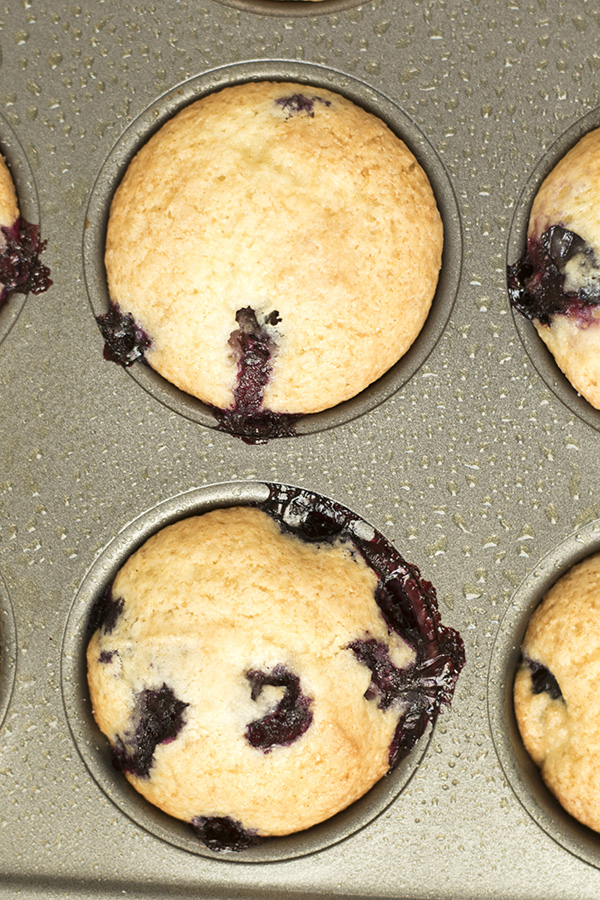 vanilla blueberry muffins
