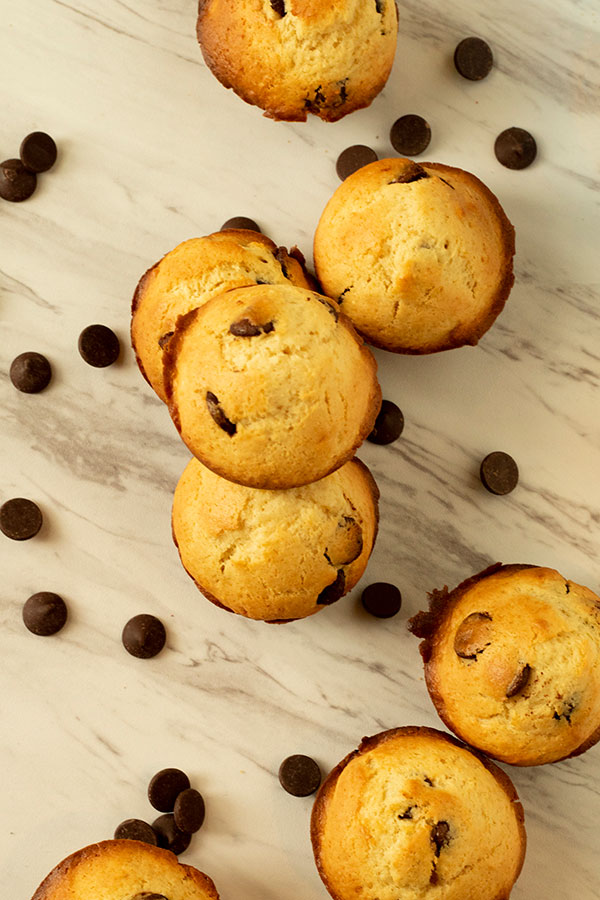 Dark Chocolate Chip Muffins