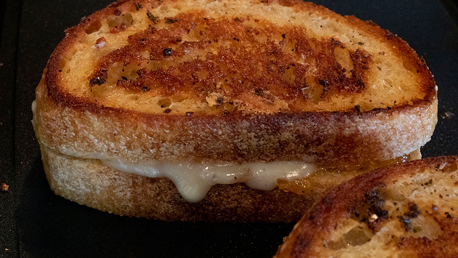 Apricot Brie Grilled Cheese