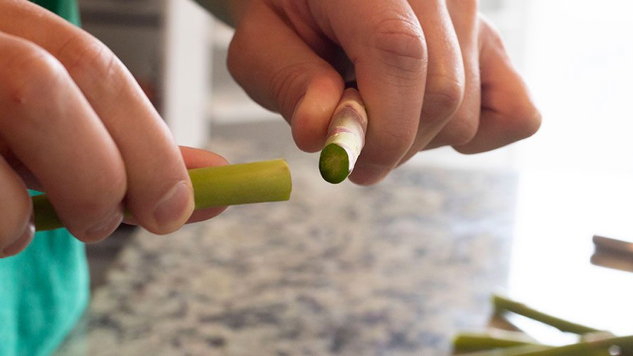 Baked Asparagus Fries