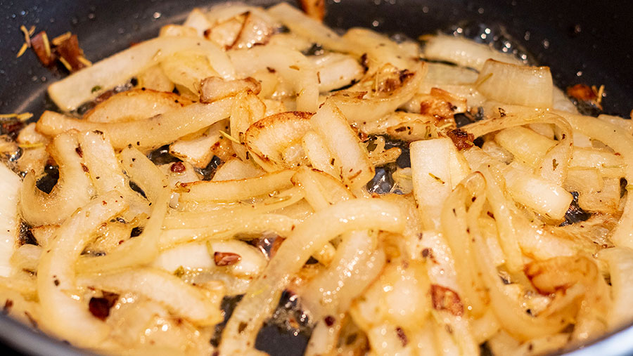 Rosemary Caramelized Onion Grilled Cheese