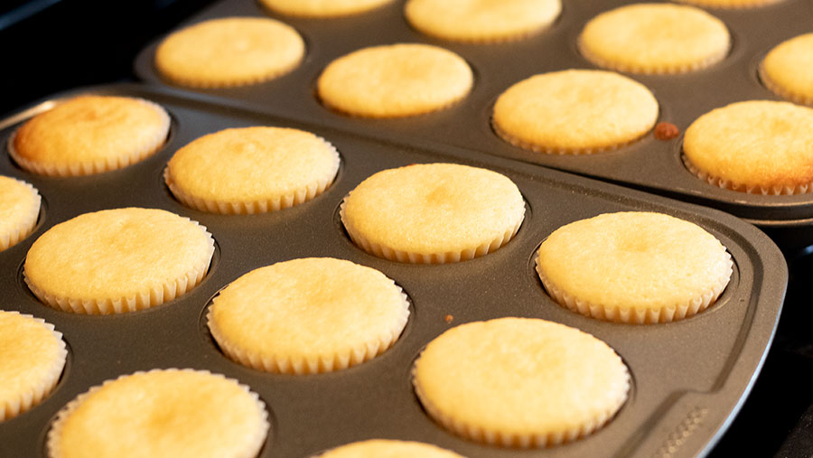 Strawberry Frosted Vanilla Cupcakes